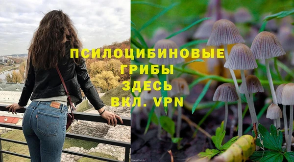 ешки Новодвинск