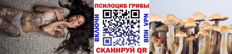 Галлюциногенные грибы прущие грибы  Южноуральск 